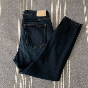 Everlane High-Rise Curvy Skinny VGUC